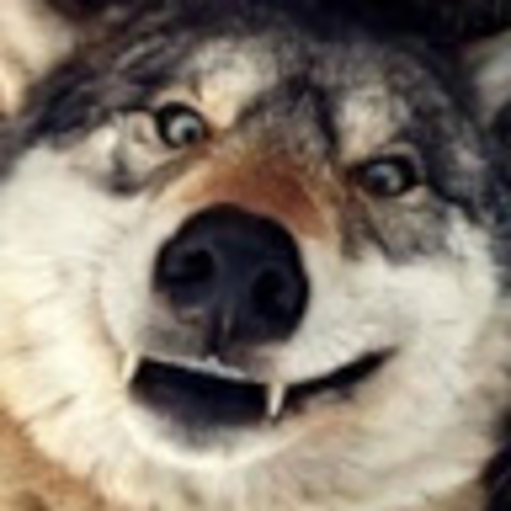 Meet your Posher, The